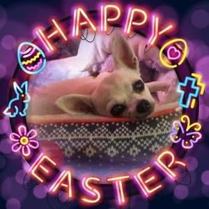 Meet your Posher, Iva